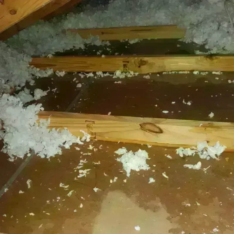 Attic Water Damage in Frankston, TX