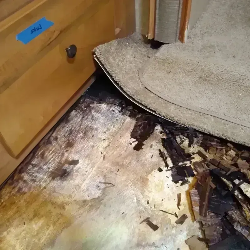 Wood Floor Water Damage in Frankston, TX